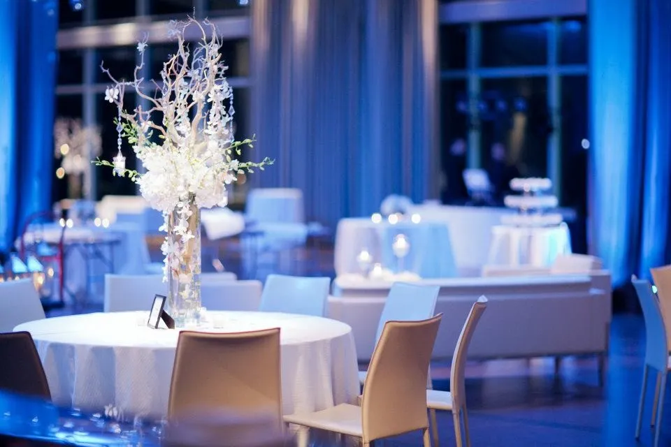 420704 10150667273564736 1025079236 n - Manic Botanic